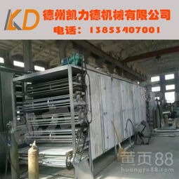 食品銷售行業(yè)的高效助手 大型網(wǎng)帶式干燥機(jī)廠家直銷